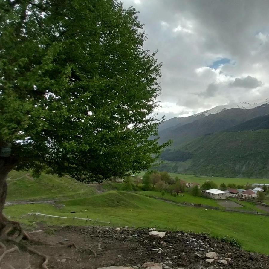 Guesthouse Leno Tsaldashi Dış mekan fotoğraf