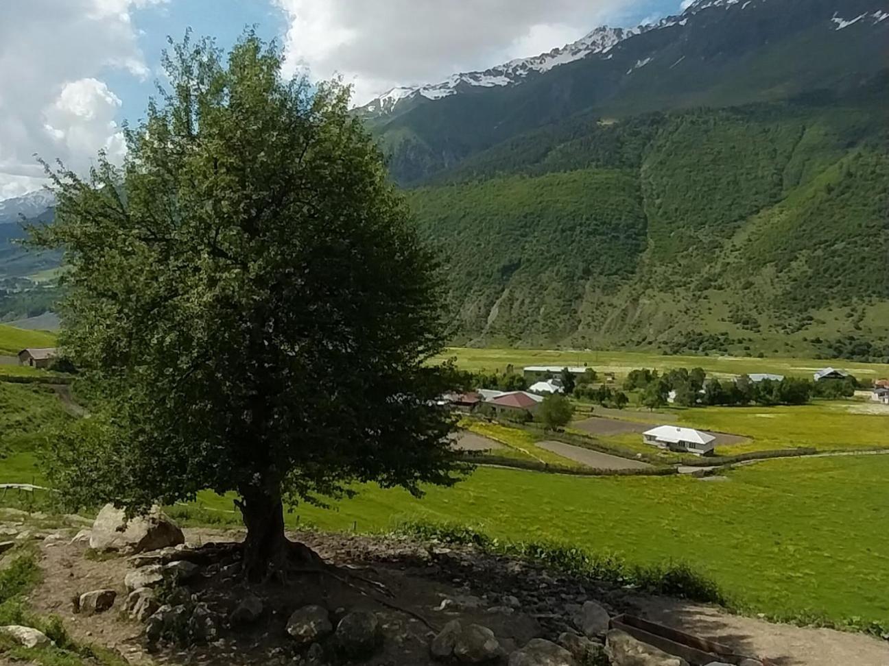 Guesthouse Leno Tsaldashi Dış mekan fotoğraf